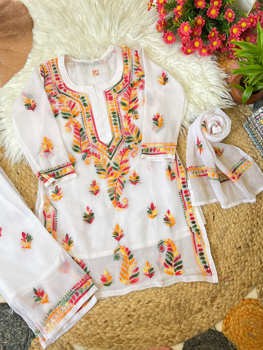 Kids chikankari dress
