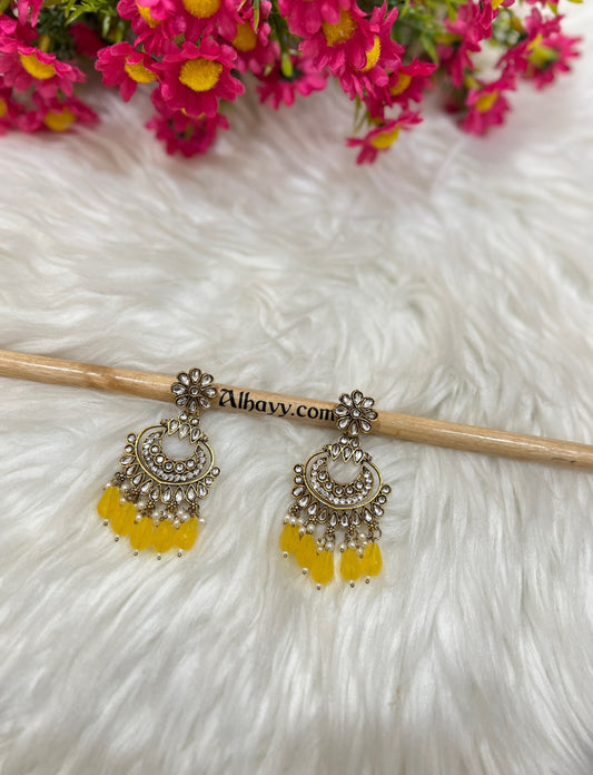 Premium Earrings