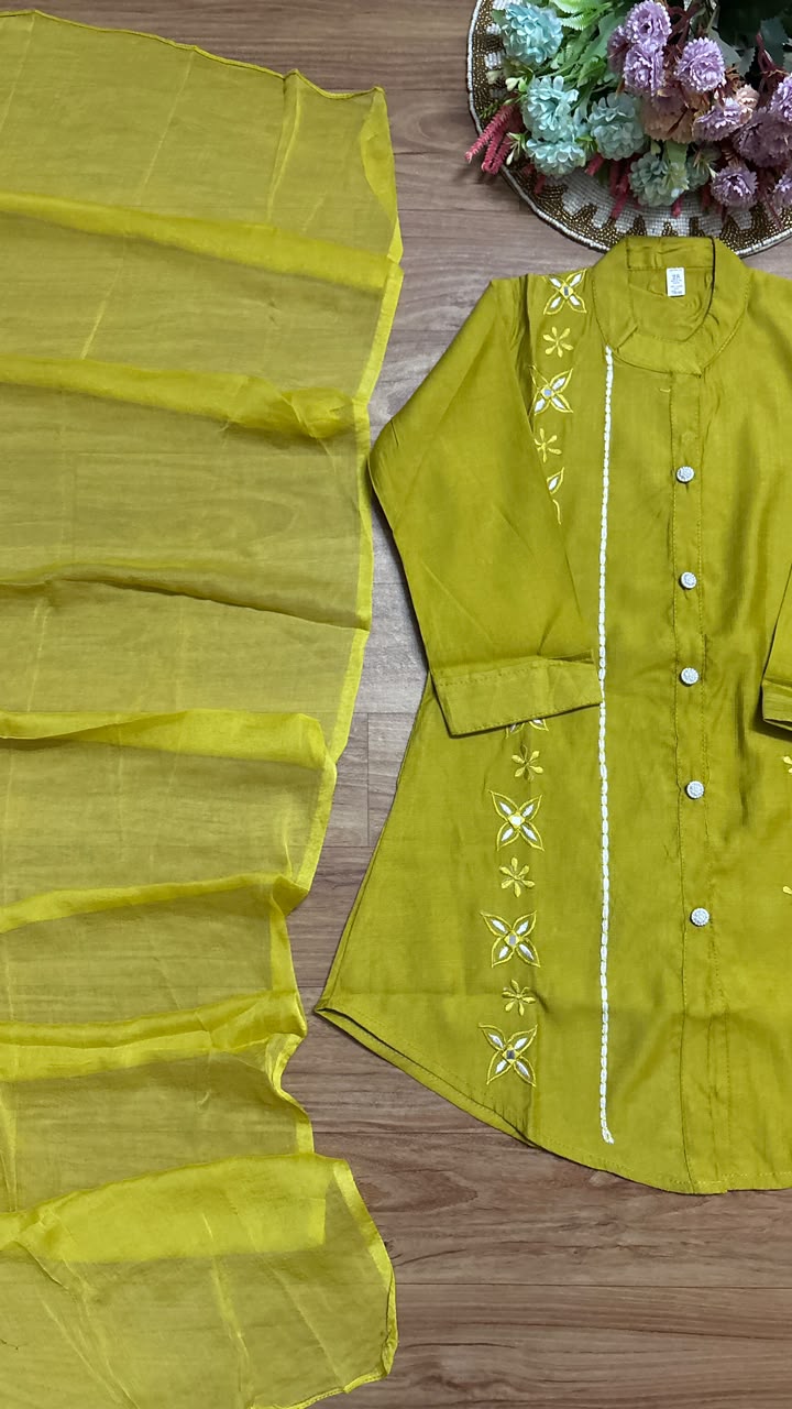 Kids wear with embroidery