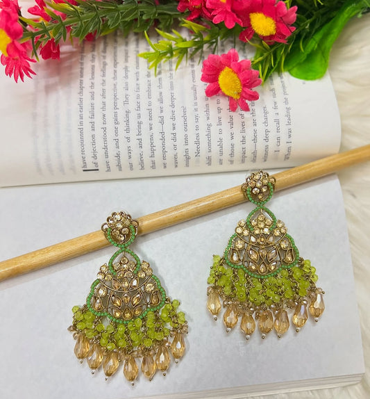 Premium earrings