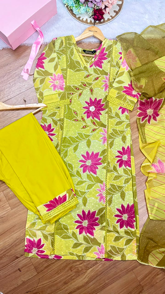 Premium Dress in cotton hakoba material