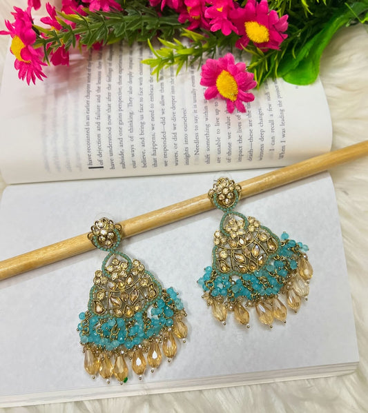 Premium Earrings