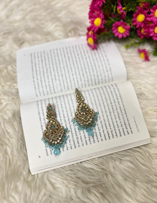 Premium Earrings