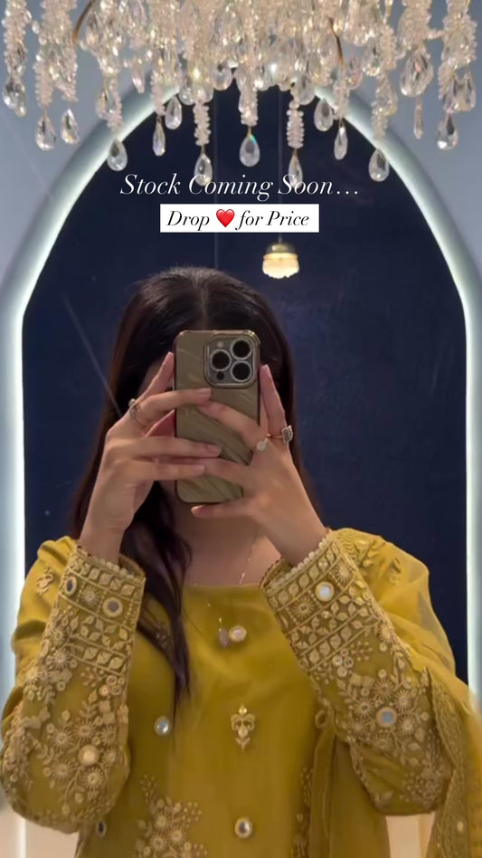 prebook Party wear - premium collection 4410CBRP