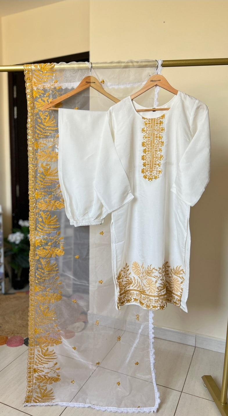 Beautiful Dress in Silk With Organza Dupatta